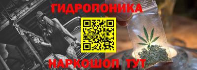 дурь Кимры